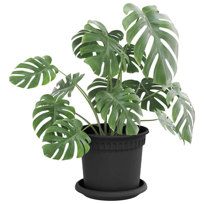 Rund Blomkruka 6 pcs Svart Ø 14 x 2 cm Plast