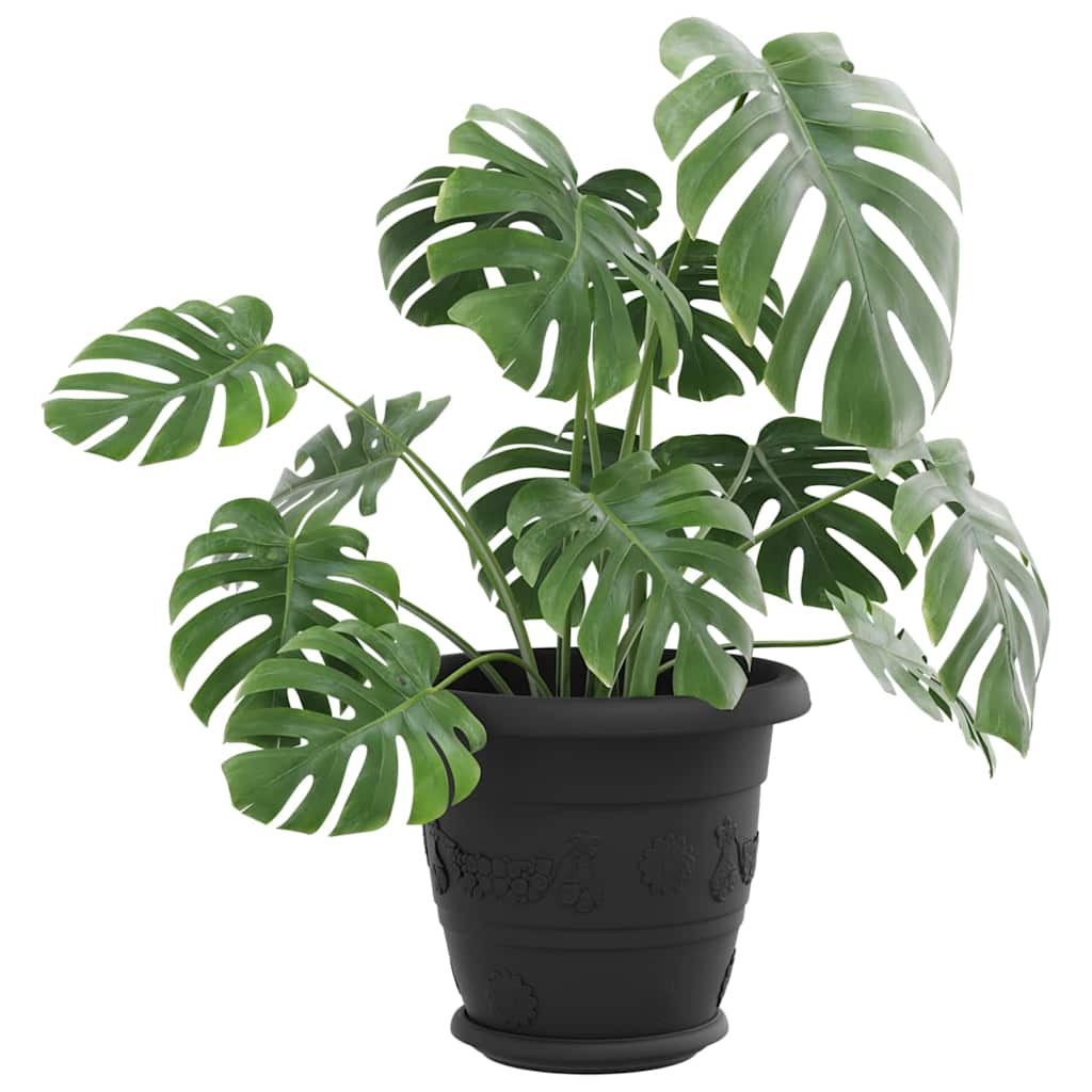 Rund Blomkruka 6 pcs Svart Ø 17,5 x 2 cm Plast