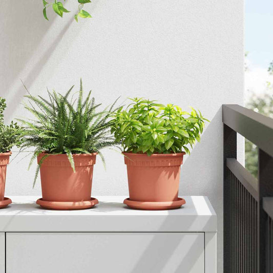 Rund Blomkruka 24 pcs Murgrön Ø 14 x 2 cm Plast