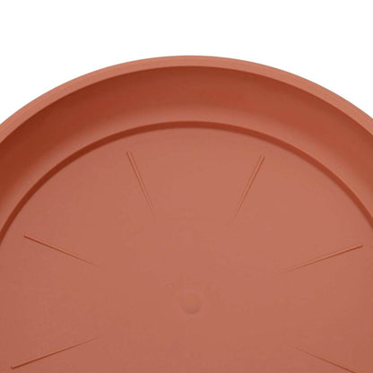Rund Blomkruka 24 pcs Murgrön Ø 27 x 2,5 cm Plast