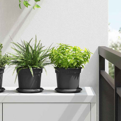 Rund Blomkruka 24 pcs Svart Ø 14 x 2 cm Plast