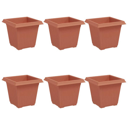 Kvadratisk Blomkruka 6 pcs Murgrön 16 x 16 x 14 cm Plast