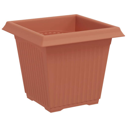 Kvadratisk Blomkruka 6 pcs Murgrön 16 x 16 x 14 cm Plast
