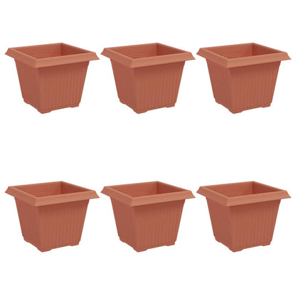 Kvadratisk Blomkruka 6 pcs Murgrön 20 x 20 x 16 cm Plast