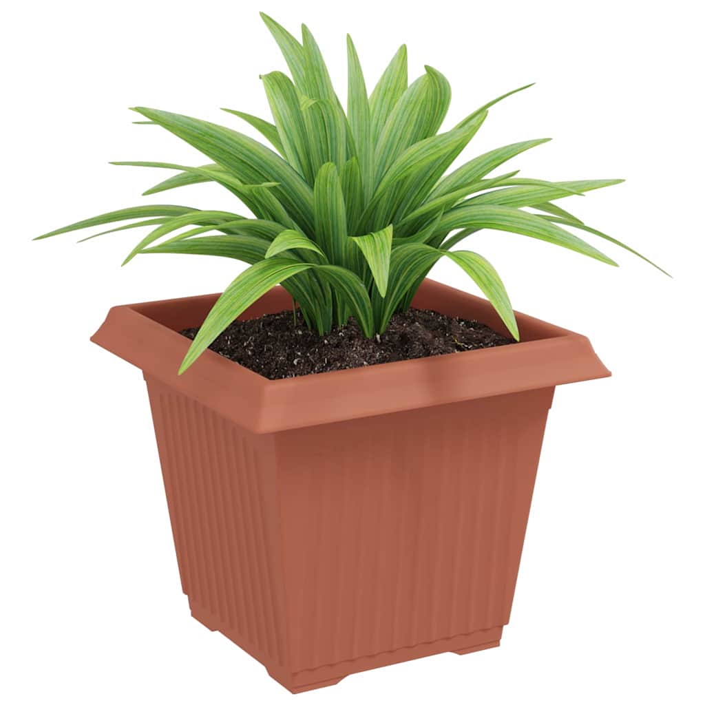 Kvadratisk Blomkruka 6 pcs Murgrön 20 x 20 x 16 cm Plast