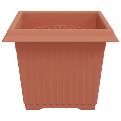 Kvadratisk Blomkruka 6 pcs Murgrön 23 x 23 x 17,5 cm Plast