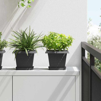 Kvadratisk Blomkruka 6 pcs Svart 20 x 20 x 16 cm Plast
