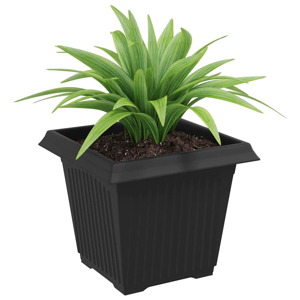 Kvadratisk Blomkruka 6 pcs Svart 20 x 20 x 16 cm Plast