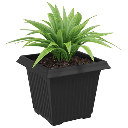 Kvadratisk Blomkruka 6 pcs Svart 20 x 20 x 16 cm Plast