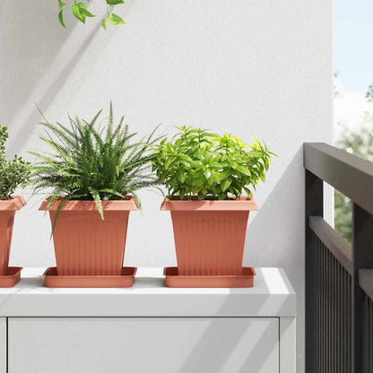 Kvadratisk Blomkruka 24 pcs Murgrön 16 x 16 x 14 cm Plast