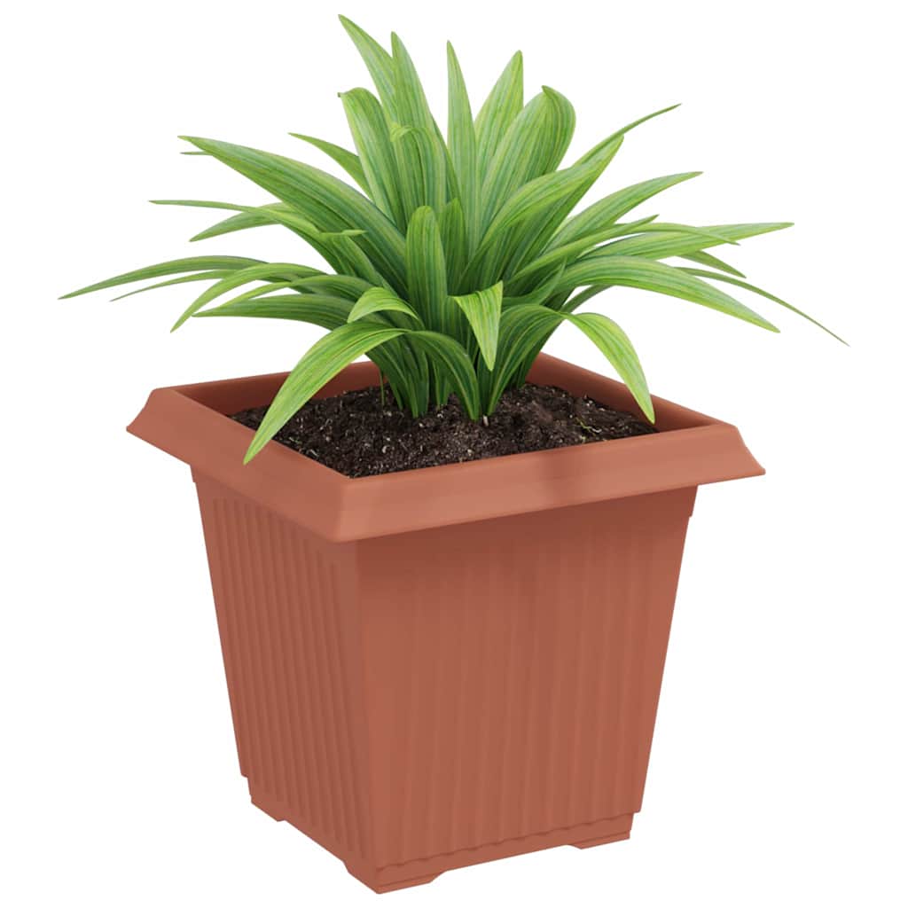 Kvadratisk Blomkruka 24 pcs Murgrön 16 x 16 x 14 cm Plast