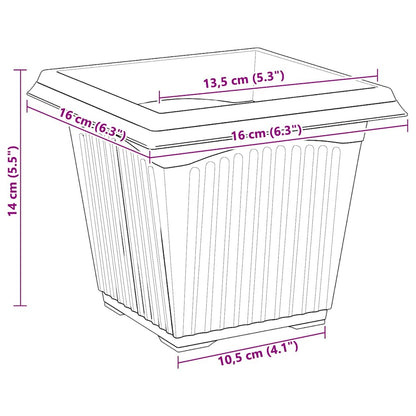 Kvadratisk Blomkruka 24 pcs Murgrön 16 x 16 x 14 cm Plast