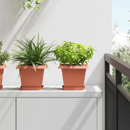 Kvadratisk Blomkruka 24 pcs Murgrön 20 x 20 x 16 cm Plast