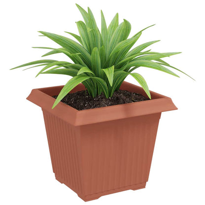 Kvadratisk Blomkruka 24 pcs Murgrön 20 x 20 x 16 cm Plast