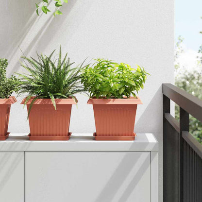 Kvadratisk Blomkruka 24 pcs Murgrön 23 x 23 x 17,5 cm Plast