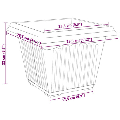 Kvadratisk Blomkruka 24 pcs Murgrön 28,5 x 28,5 x 22 cm Plast