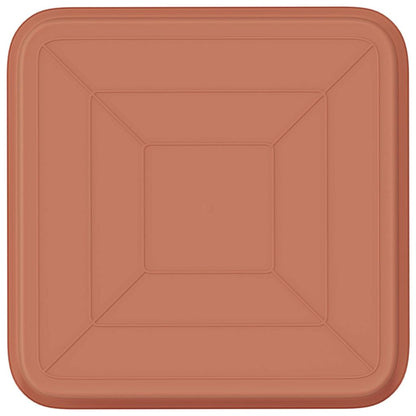 Fyrkantig Blomkruka 6 pcs Murgrön 15 x 15 x 2 cm Plast