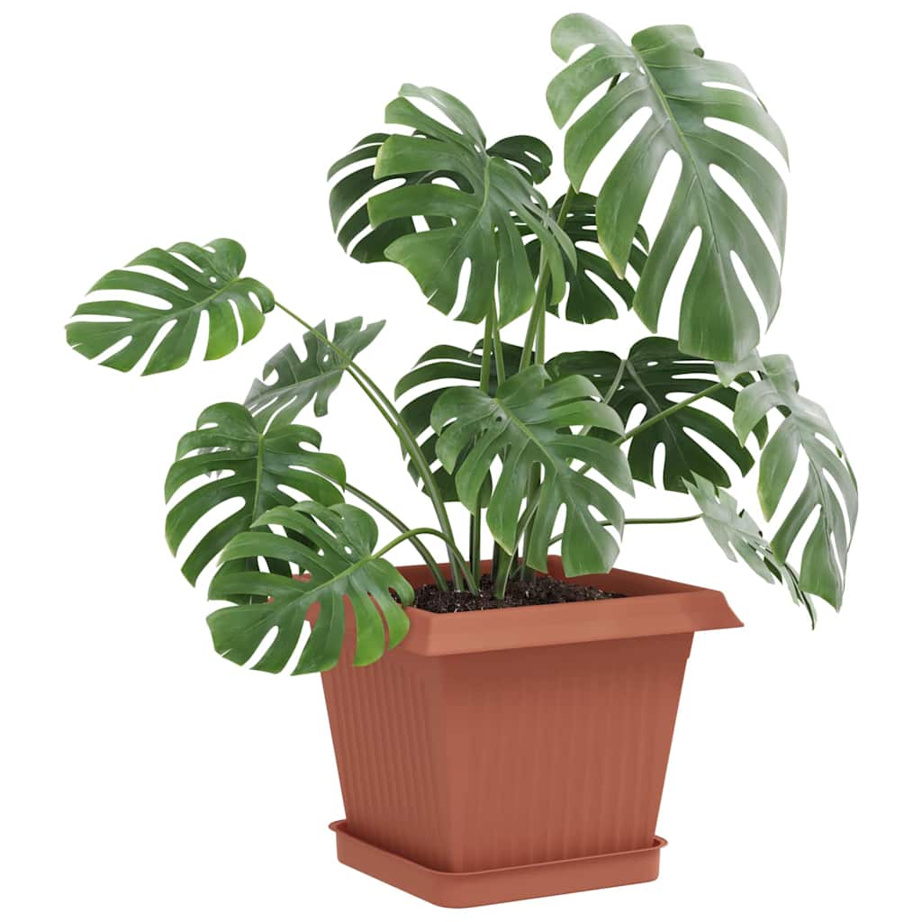 Fyrkantig Blomkruka 6 pcs Murgrön 15 x 15 x 2 cm Plast