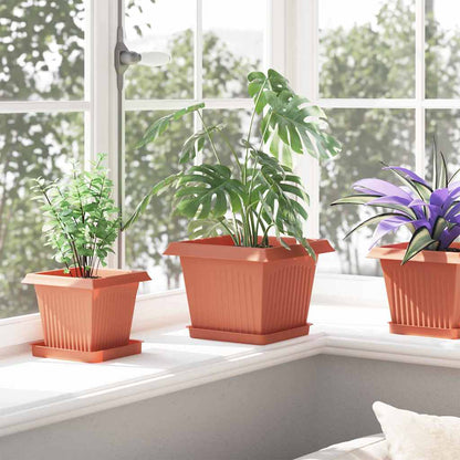 Fyrkantig Blomkruka 6 pcs Murgrön 18 x 18 x 2 cm Plast