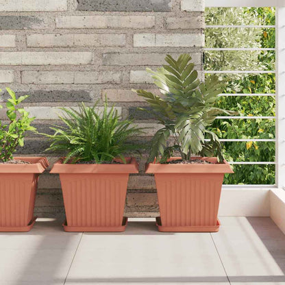 Fyrkantig Blomkruka 6 pcs Murgrön 21 x 21 x 2 cm Plast