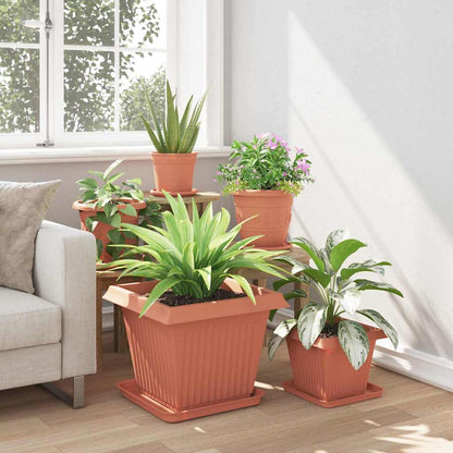 Fyrkantig Blomkruka 6 pcs Murgrön 36 x 36 x 2.5 cm Plast