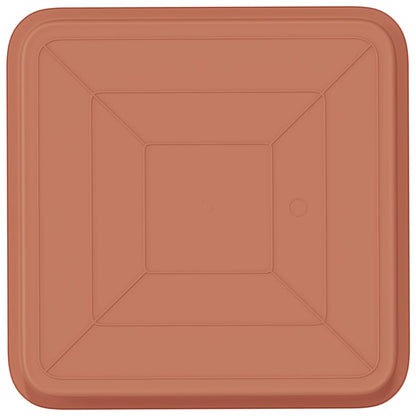 Fyrkantig Blomkruka 6 pcs Murgrön 36 x 36 x 2.5 cm Plast