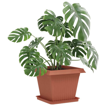 Fyrkantig Blomkruka 6 pcs Murgrön 36 x 36 x 2.5 cm Plast