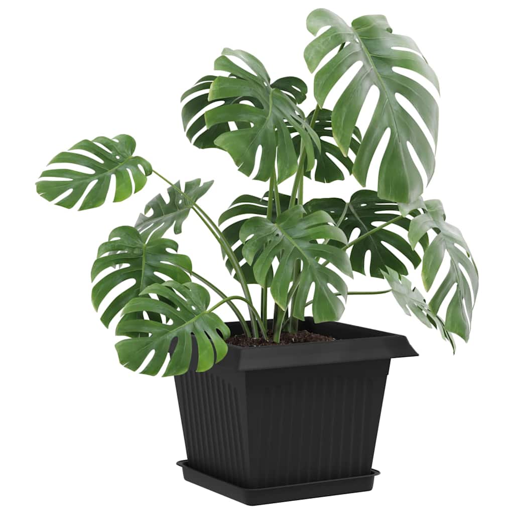 Fyrkantig Blomkruka 6 pcs Svart 18 x 18 x 2 cm Plast