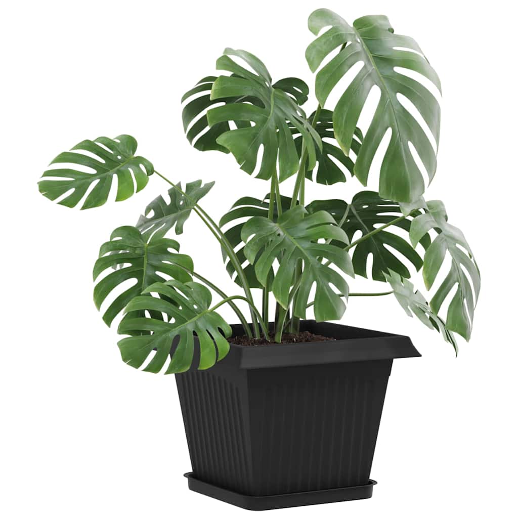 Fyrkantig Blomkruka 6 pcs Svart 21 x 21 x 2 cm Plast