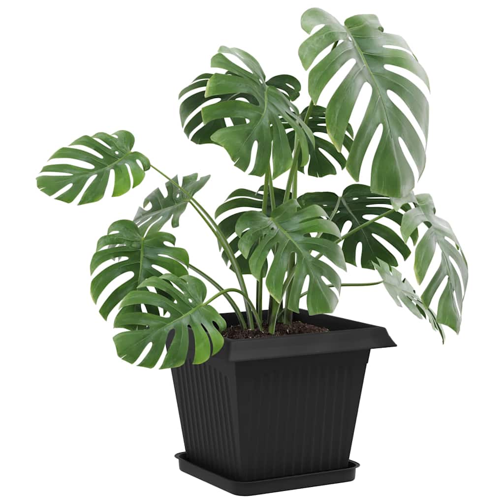 Fyrkantig Blomkruka 6 pcs Svart 25,5 x 25,5 x 2,5 cm Plast