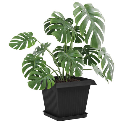 Fyrkantig Blomkruka 6 pcs Svart 25,5 x 25,5 x 2,5 cm Plast