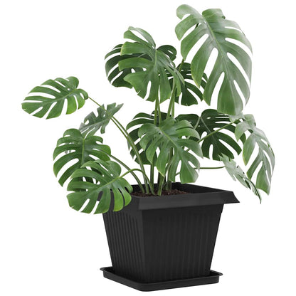 Fyrkantig Blomkruka 6 pcs Svart 36 x 36 x 2.5 cm Plast