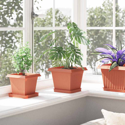 Fyrkantig Blomkruka 24 pcs Murgrön 15 x 15 x 2 cm Plast