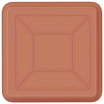 Fyrkantig Blomkruka 24 pcs Murgrön 18 x 18 x 2 cm Plast