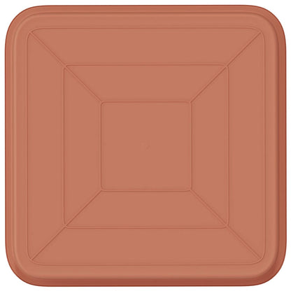 Fyrkantig Blomkruka 24 pcs Murgrön 21 x 21 x 2 cm Plast