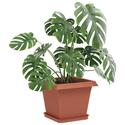 Fyrkantig Blomkruka 24 pcs Murgrön 25,5 x 25,5 x 2,5 cm Plast