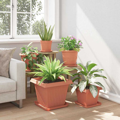 Fyrkantig Blomkruka 24 pcs Murgrön 32 x 32 x 2,5 cm Plast