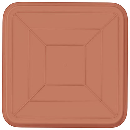 Fyrkantig Blomkruka 24 pcs Murgrön 32 x 32 x 2,5 cm Plast