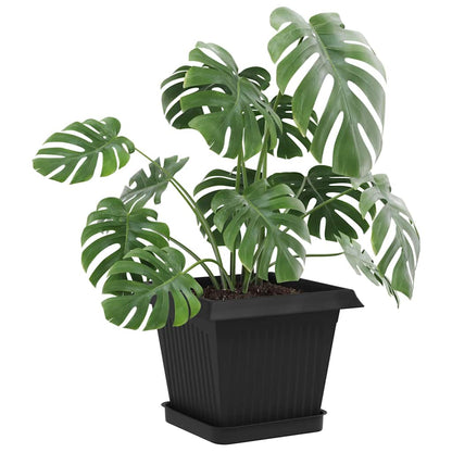Fyrkantig Blomkruka 24 pcs Svart 15 x 15 x 2 cm Plast