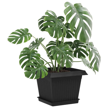 Fyrkantig Blomkruka 24 pcs Svart 18 x 18 x 2 cm Plast