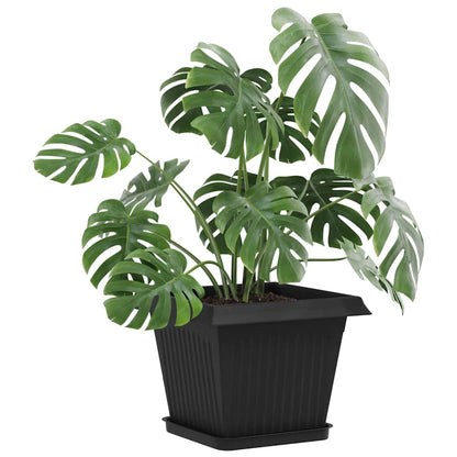 Fyrkantig Blomkruka 24 pcs Svart 21 x 21 x 2 cm Plast