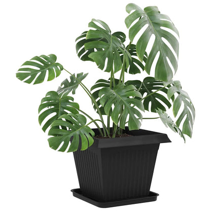 Fyrkantig Blomkruka 24 pcs Svart 32 x 32 x 2,5 cm Plast