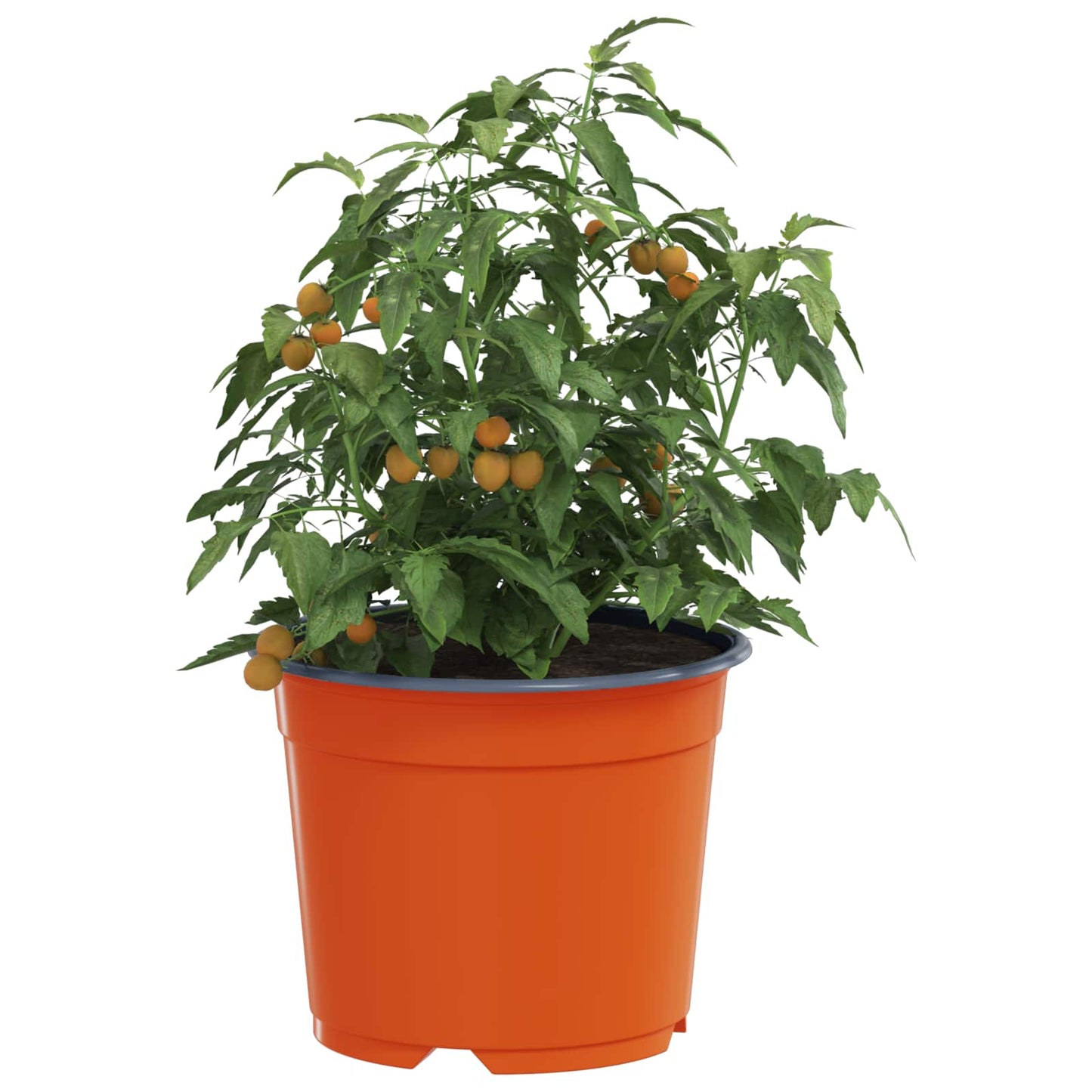 Rund Blomkruka 200 pcs Terracotta Ø 10 x 8 cm Plast