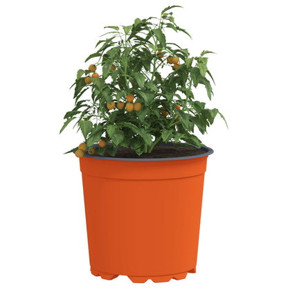 Blomkruka 200 pcs Terracotta Ø 15 x 13 cm Plast