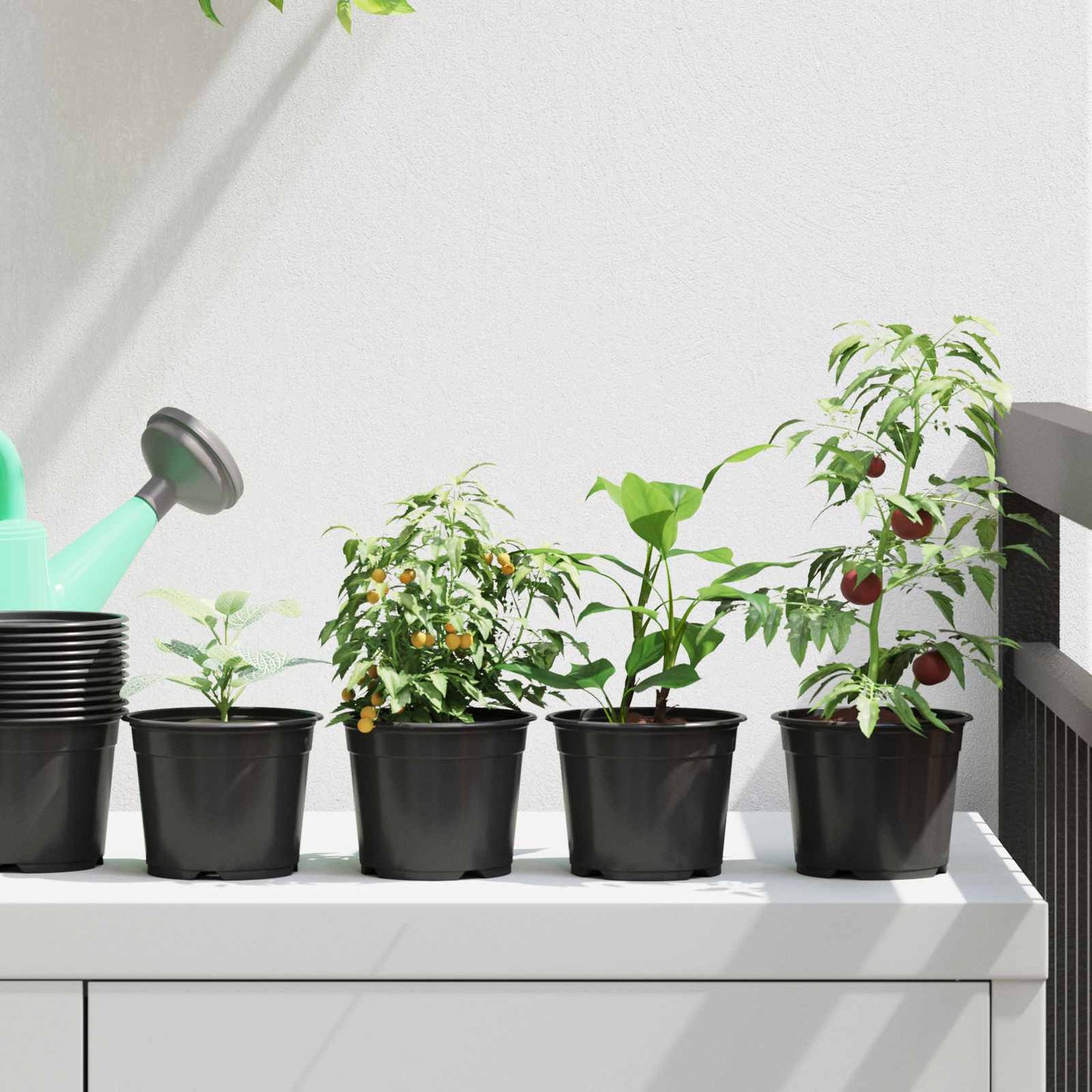 Rund Blomkruka 50 pcs Svart Ø 10 x 8 cm Plast